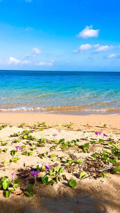 Beach Side House Alohana Ishigaki  Εξωτερικό φωτογραφία